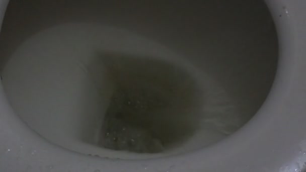 Water Flushes Toilet Flashing Water Ceramic Toilet Dark Mode Flush — Stok Video