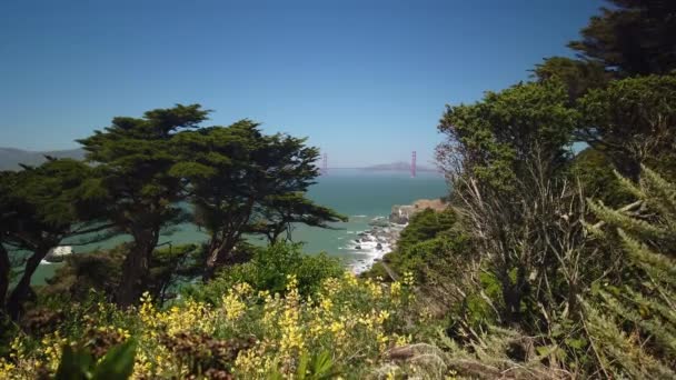 Handheld Static Shot Iconic Golden Gate Bridge Trees Pacific Ocean — 图库视频影像