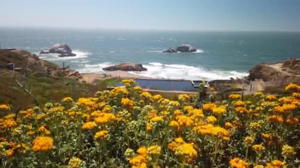 Handheld Booming Shot Golden Wildflowers Foreground Ruins Sutro Baths Land — Stockvideo