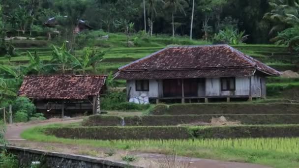 Sundanese Traditional House Indonesian Culture Customs View Rural Agricultural Villages — Stok video