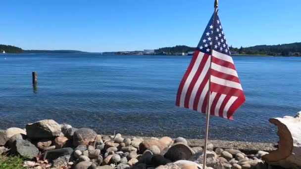 American Flag Stars Stripes Flies Wind Low Angle Rocky Beach — 비디오