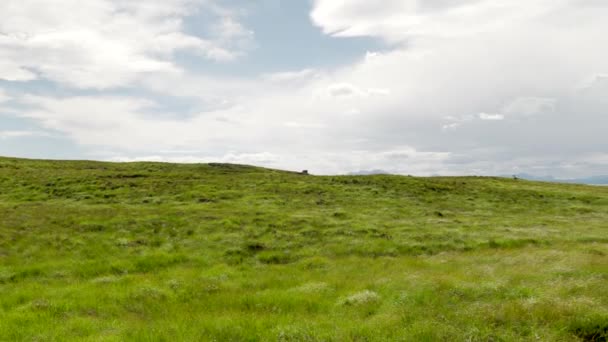 Slow Panning Shot Strong Breeze Blowing Patchwork Green Yellow Grass — ストック動画