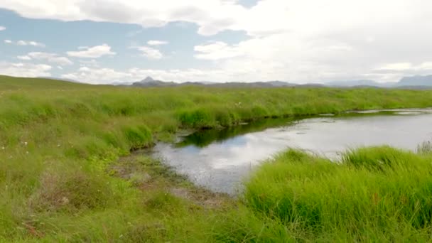 Висока Зелена Трава Віє Повільно Панорамна Камера Показує Маленький Водяний — стокове відео