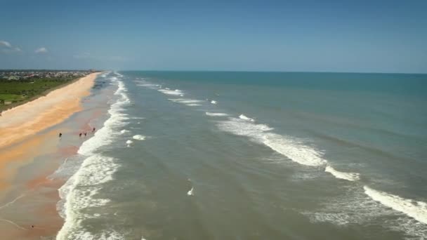 Aerial Drone Footage Horseback Riding Waves Vero Beach Florida — Stockvideo