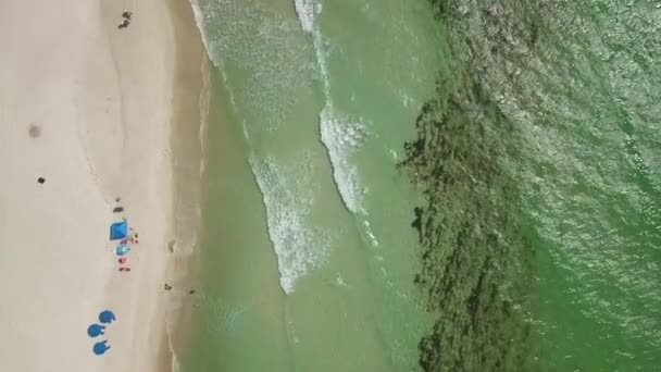Aerial Drone Green Waves Beachgoers Panama City Beach Florida — Wideo stockowe