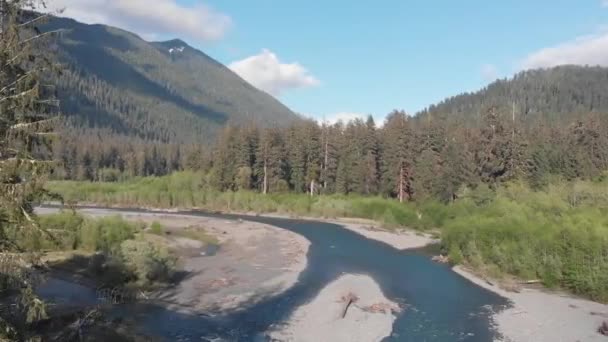 Forward Drone Shot Washington Rainforest Hoh — Stock video