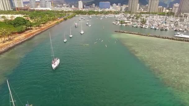 Parad Båtar Avgår Ala Wai Båthamn Oahu Solig Dag — Stockvideo