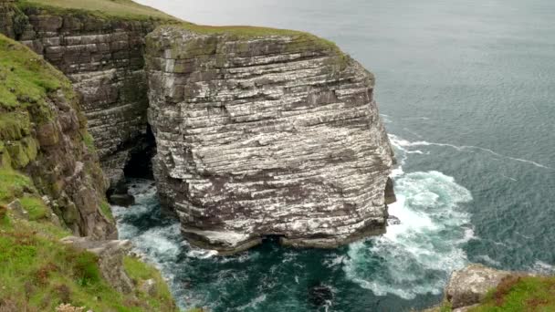 Breathtaking View Sea Cliff Great Sea Stack Handa Island Covered — Stok Video