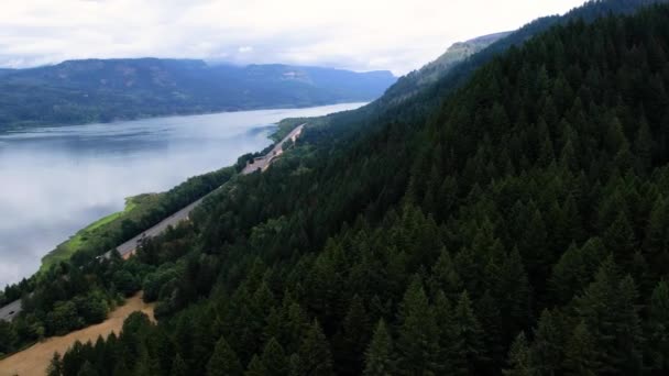 Aerial Drone Footage Oregon Columbia River Phoca Rock Evergreen Forest — Stockvideo