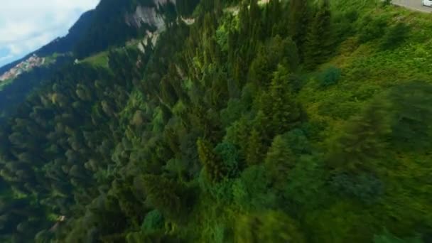 Vue Aérienne Par Drone Vol Dessus Forêt Pins Montagne Fpv — Video
