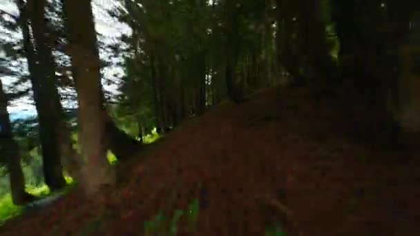 Fpv Drone Swiftly Passing Trees Low Flight — Stok video