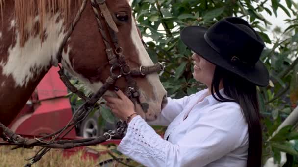 Brown White Horse Being Petted Her Happy Cow Girl — Vídeo de Stock
