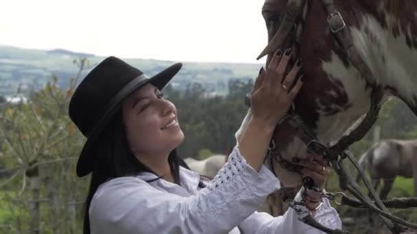 Petting Her Beautiful Brown White Horse Mountains — Wideo stockowe