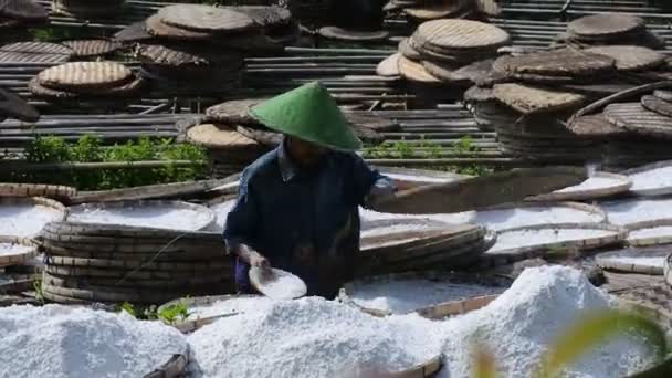 Tapioca Flour Cassava Maker Sukabumi West Java Indonesia May 2022 — Vídeo de Stock