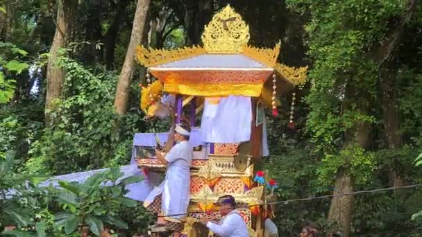 Bali Island Indonesia Carriage Coffin Cremation Ceremony Hindu Ritual — 图库视频影像