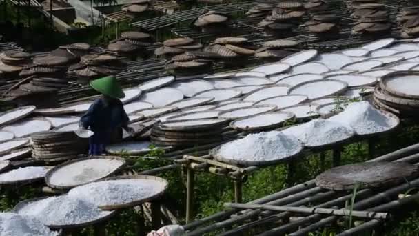 Tapioca Flour Cassava Maker Sukabumi West Java Indonesia May 2022 — Videoclip de stoc