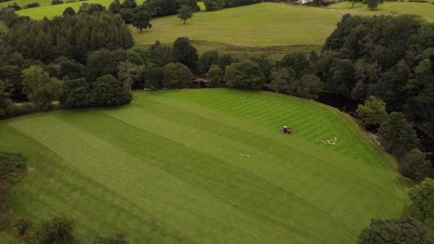 Aerial View Tractor Cultivating Large Countryside Field Animals — Stockvideo