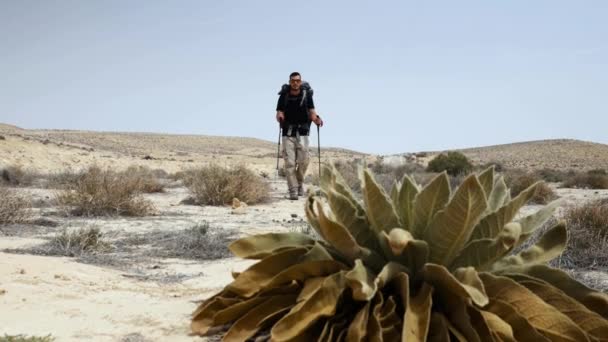 Slow Motion Man Hiking Dry Desolate Desolate Landscape — Vídeo de stock