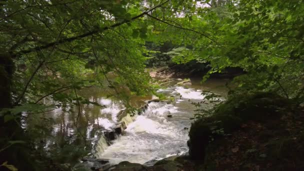 Peaceful Hidden Waterfall Amonst Trees Riverside — Stockvideo