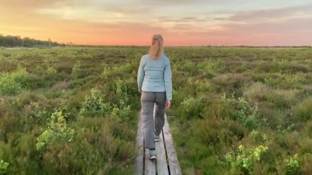 Woman Walks Plank Path Raised Bog Rear View — Stock video