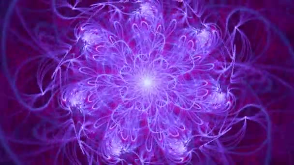 Flower Fractal Star Rebirth Seamless Looping Spirals Abstract Background Relaxing — Vídeo de Stock