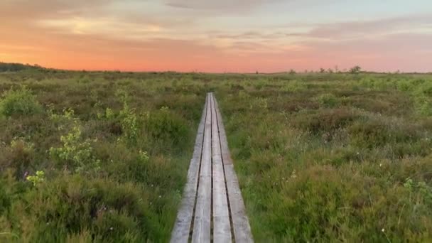 Walking Plank Path Raised Bog Sunset Pov — стокове відео