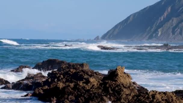 Seagulls Bobbing Rough Wild Ocean White Wash Waves Rolling Rugged — Stock video