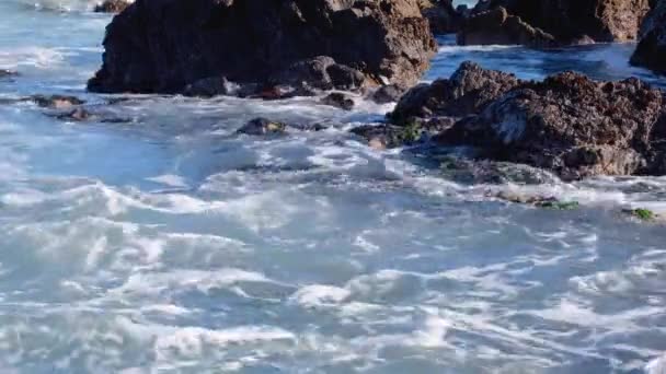 Green Seaweed Algae Covered Rocks Remote Wild Rocky Coastline Rising — Wideo stockowe