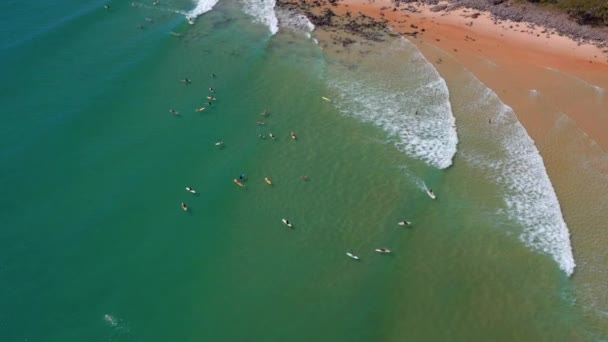 Surfers Turquoise Beach Noosa National Park Noosa Heads Qld Australia — Video Stock