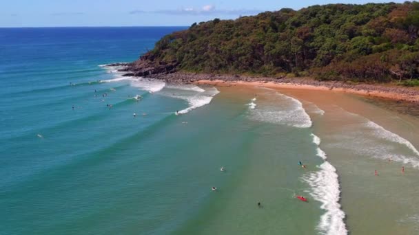Surfing Tropical Beach Noosa National Park Noosa Heads Queensland Australia — Stockvideo