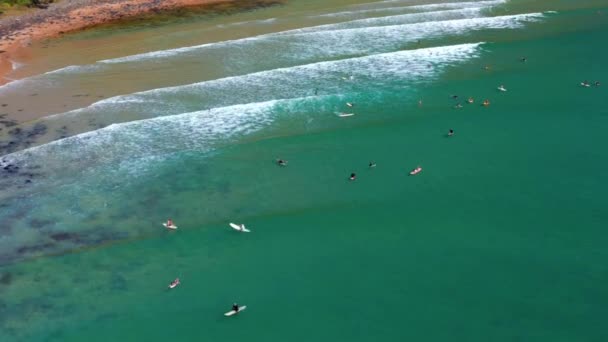 Tourists Floating Surfboards Beach Noosa National Park Queensland Australia Aerial — Vídeos de Stock