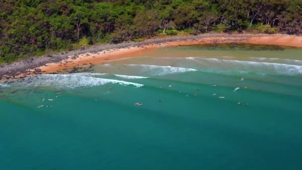 Splashing Surfing Waves Surfers Noosa National Park Noosa Heads Qld — стокове відео