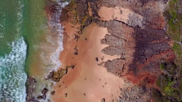 Surfers Sunny Splashing Sea Waves Beach Noosa National Park Qld — Vídeo de Stock