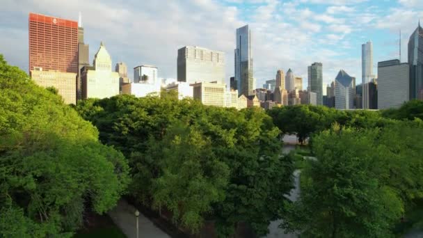 City Park Green Tree Tops Chicago Urban Skyline Aerial Drone — ストック動画