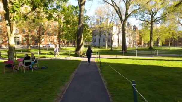 Перша Людина Полоні Прогулюючись Гарвардській Ярді Прекрасний Літній День — стокове відео