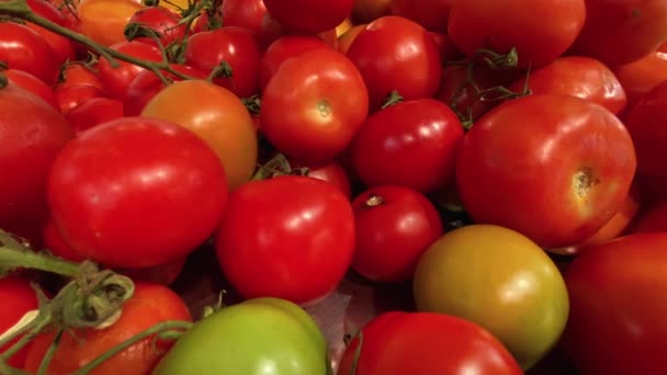 Static Shot Whole Mountains Tasty Fresh Tomatoes Some Which Still — Wideo stockowe