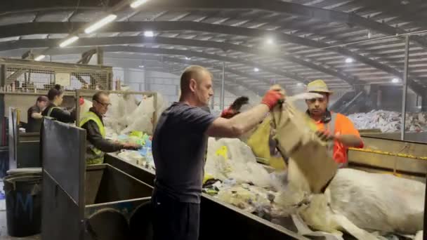 Workers Sort Rubbish Recycling Factory Colchester Essex — ストック動画