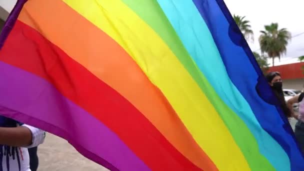 Standing Man Proudly Carrying Gay Lgbt Flag Fighting His Rights — Stok video