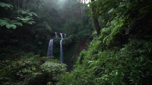 Beautiful View Dense Green Jungle Indonesia Grenjengan Kembar Waterfall — Stock video