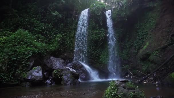 Beautiful Static Shot Grenjengan Kembar Waterfalls Middle Jungle Central Java — Stok Video