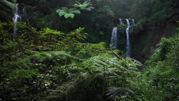 Wide Shot Taken Grenjengan Kembar Waterfalls Jungle Central Java Indonesia — Stok Video