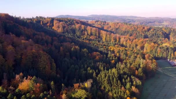 Drone Flight Autumn Colorful Rural Forest Switzerland Bern — 图库视频影像