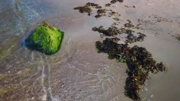 Waves Wash Stone Green Seaweed Sand Beach Static Slomo — Stockvideo
