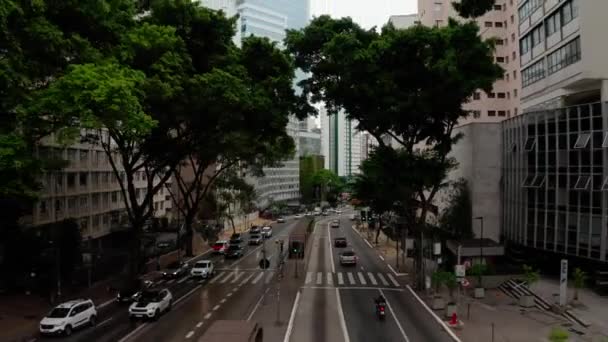 City Buildings Avenue Metropolis Traffic Paulo Aerial Drone Shot — ストック動画