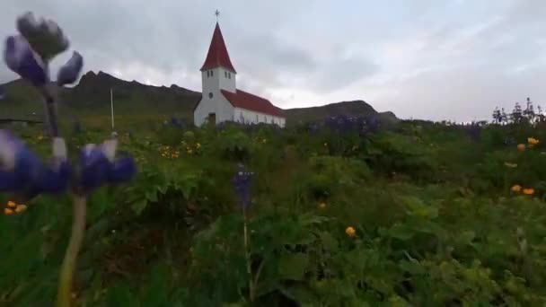 Vike Church Iceland Flowers — Stockvideo