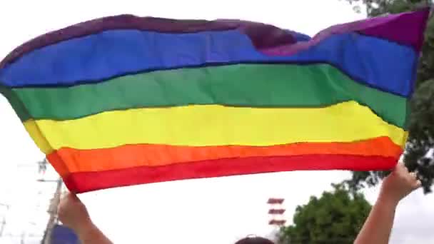 Hands Woman Proudly Carrying Flag Colors Freedom Lgbt Community Waving — Stockvideo