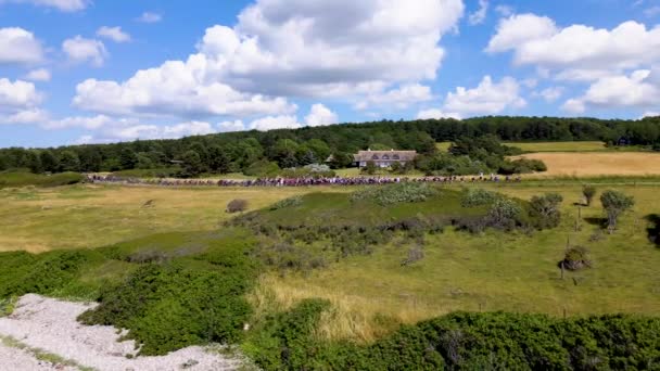 Tour France 2022 Stage Cote Karup Strandbakke Aerial View Peleton — Vídeo de Stock