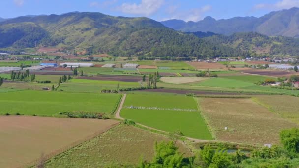 Verdant Beautiful Landscape Constanza Nature Reserve Green Landscape Mountains Background — Stockvideo