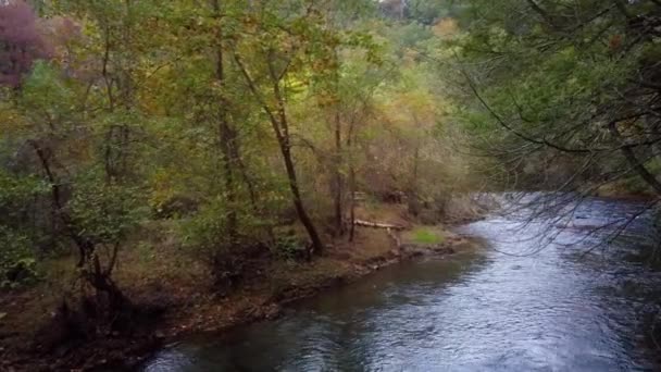 Flight Forest River Pennsylvania — Stok video