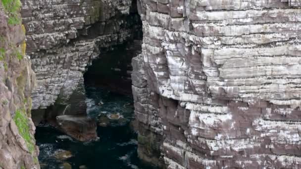 View Breathtaking Seabird Colony Great Sea Stack Handa Island Scotland — Stock video